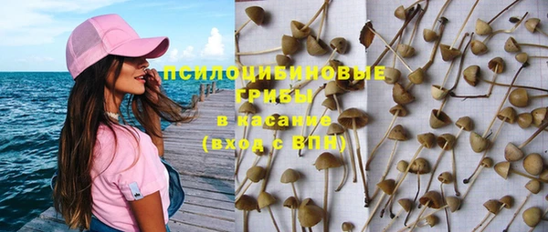 а пвп мука Краснослободск